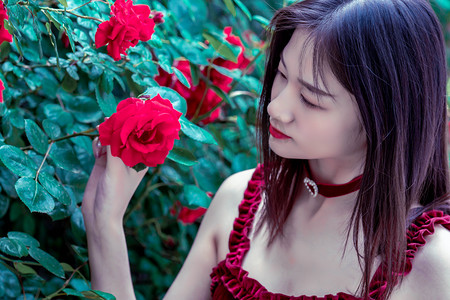 活力中国调研行·万千气象看陕西｜榆林：“黑色资源”与“金色田野”共生演进